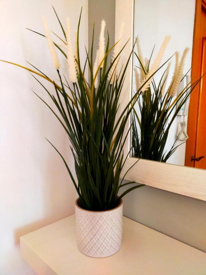 Geminis Wifi Parking Free Apartament Tossa de Mar